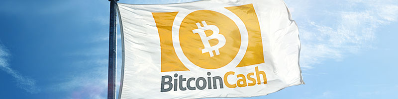 Bitcoin Cash