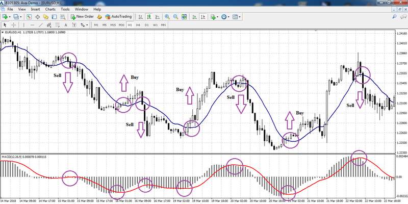 moving average convergence/divergence + MA